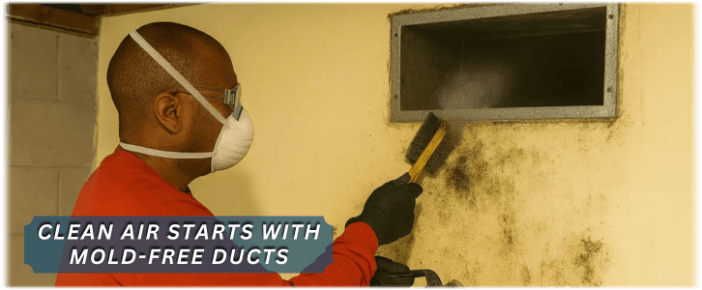 Air Duct Mold Removal in Marietta
