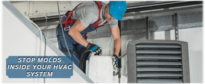 HVAC Mold Removal Marietta